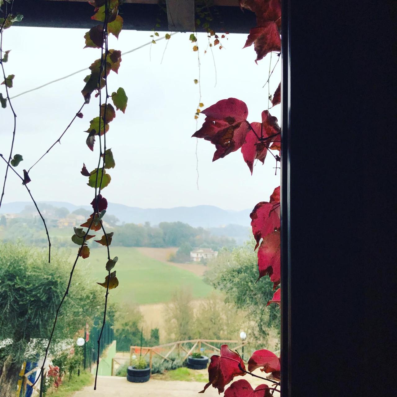 Il Pozzo Country House Collescipoli Eksteriør billede